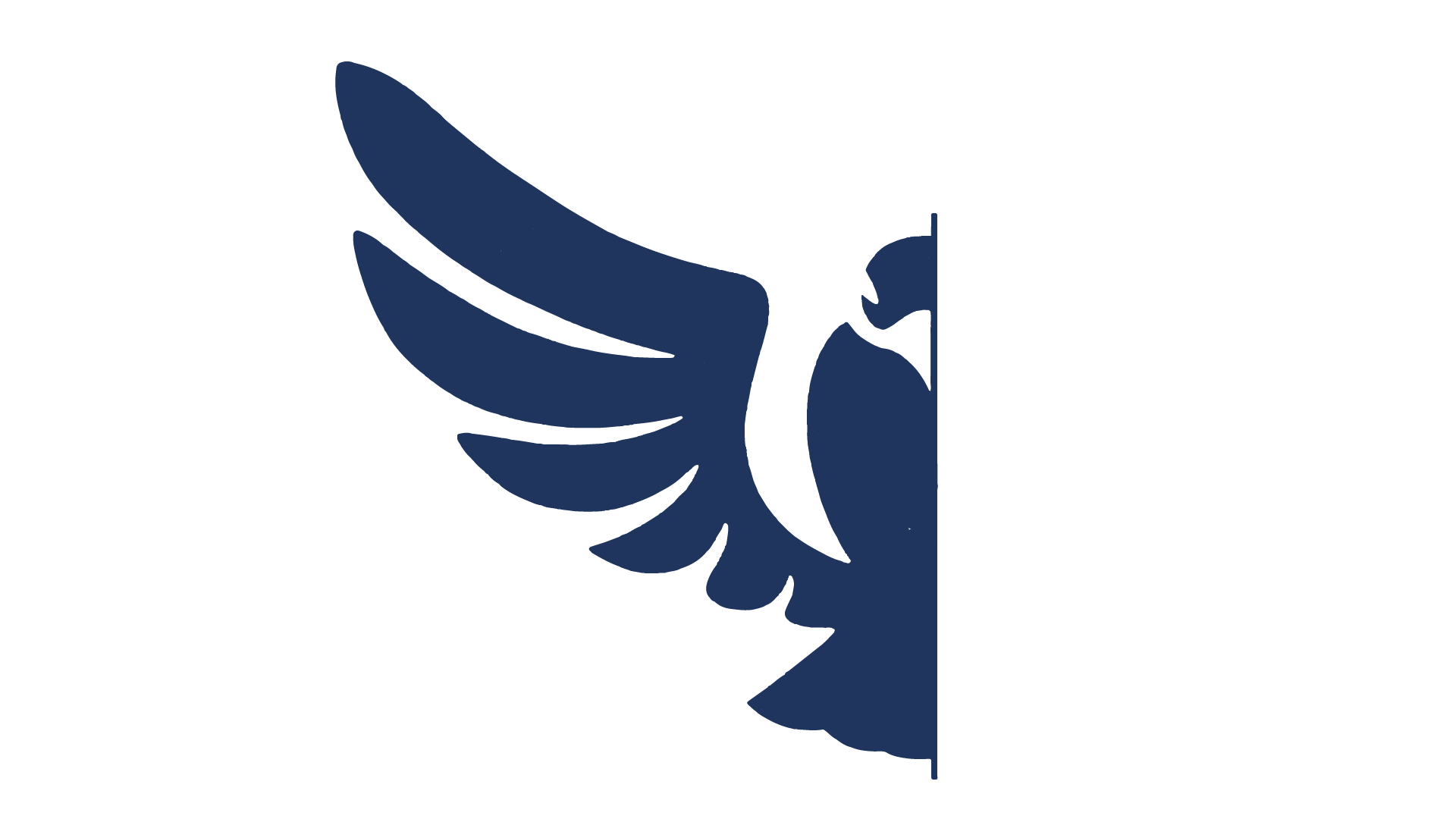 Logo Vitronik 6170